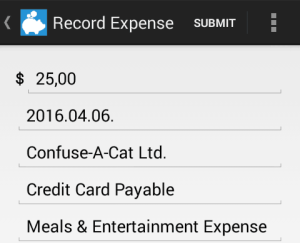 Expense recording in the Kashoo Android app