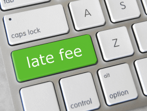 Late Payment Fees