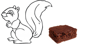 Squirrel and a brownie